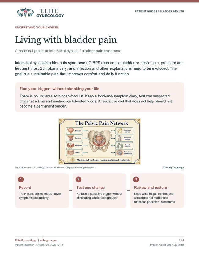 First page of Living with bladder pain